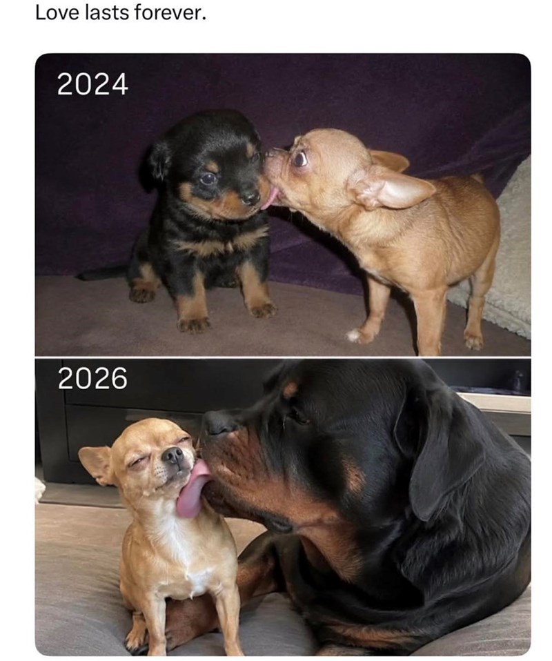 Love lasts forever. 2024 2026