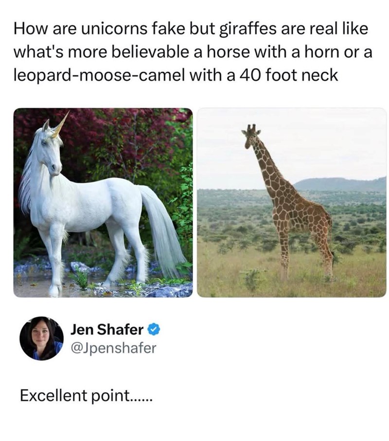 How are unicorns fake but giraffes are real like what's more believable a horse with a horn or a leopard-moose-camel with a 40 foot neck Jen Shafer @Jpenshafer Excellent point......