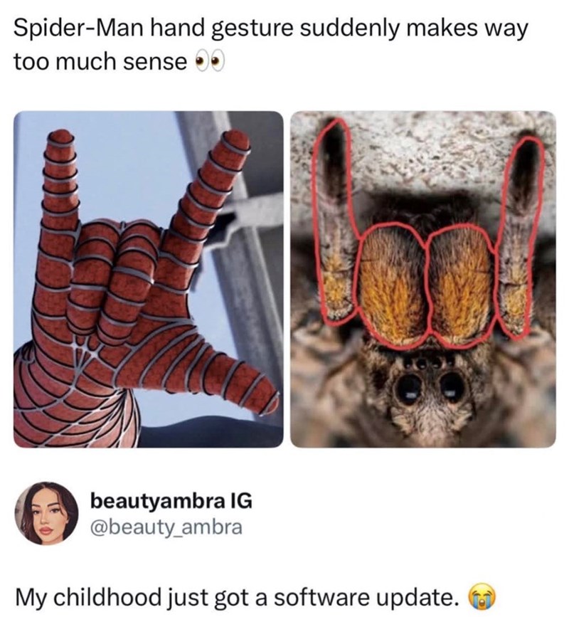 Spider-Man hand gesture suddenly makes way too much sense >> beautyambra IG @beauty_ambra My childhood just got a software update.
