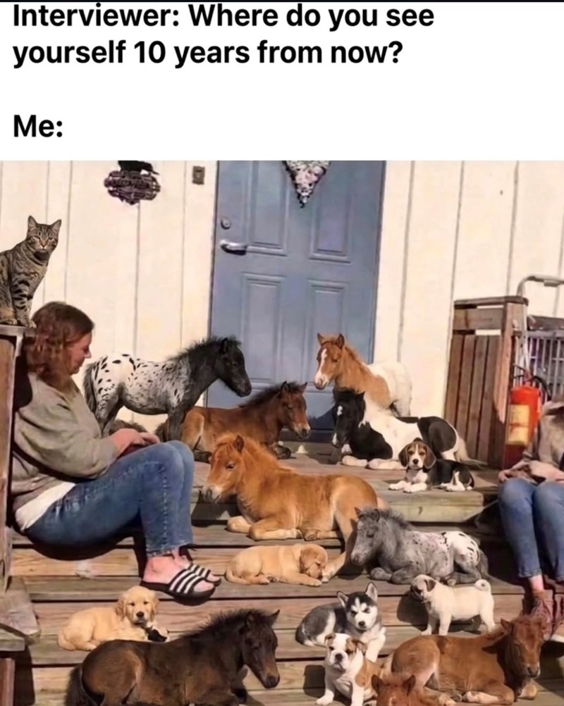 Interviewer: Where do you see yourself 10 years from now? Me:
