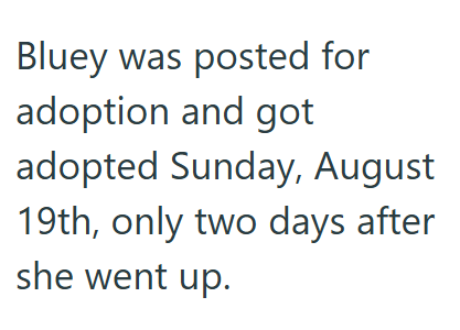 Bluey was posted for adoption and got adopted Sunday, August 19th, only two days after she went up.