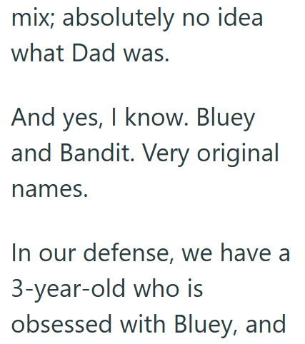 mix; absolutely no idea what Dad was. And yes, I know. Bluey and Bandit. Very original names. In our defense, we have a 3-year-old who is obsessed with Bluey, and
