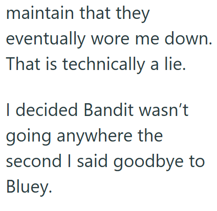 maintain that they eventually wore me down. That is technically a lie. I decided Bandit wasn't going anywhere the second I said goodbye to Bluey.