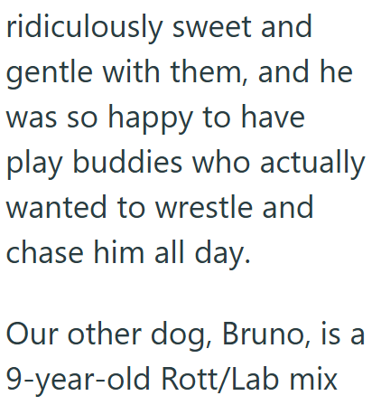 ridiculously sweet and gentle with them, and he was so happy to have play buddies who actually wanted to wrestle and chase him all day. Our other dog, Bruno, is a 9-year-old Rott/Lab mix