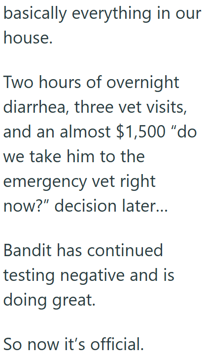 basically everything in our house. Two hours of overnight diarrhea, three vet visits, and an almost $1,500 "do we take him to the emergency vet right now?" decision later... Bandit has continued testing negative and is doing great. So now it's official.
