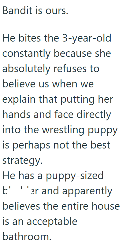 Bandit is ours. He bites the 3-year-old constantly because she absolutely refuses to believe us when we explain that putting her hands and face directly into the wrestling puppy is perhaps not the best strategy. He has a puppy-sized ber and apparently believes the entire house is an acceptable bathroom.