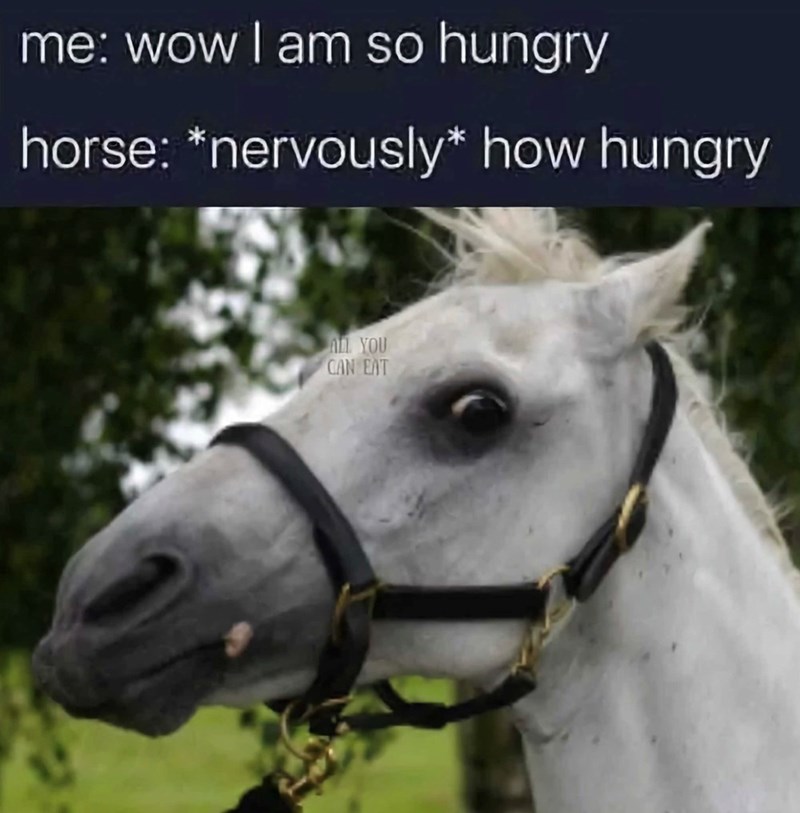 me: wow I am so hungry horse: *nervously* how hungry ALL YOU CAN EAT
