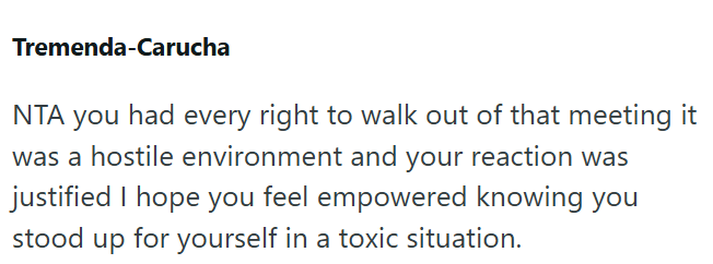Tremenda-Carucha NTA you had every right to walk out of that meeting it was a hostile environment and your reaction was justified I hope you feel empowered knowing you stood up for yourself in a toxic situation.