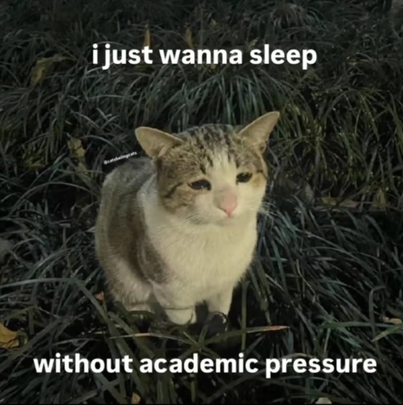 i just wanna sleep without academic pressure