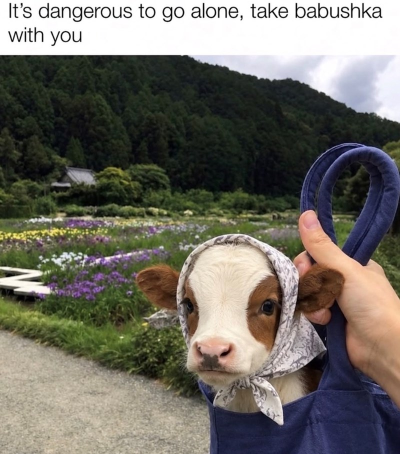 It's dangerous to go alone, take babushka with you