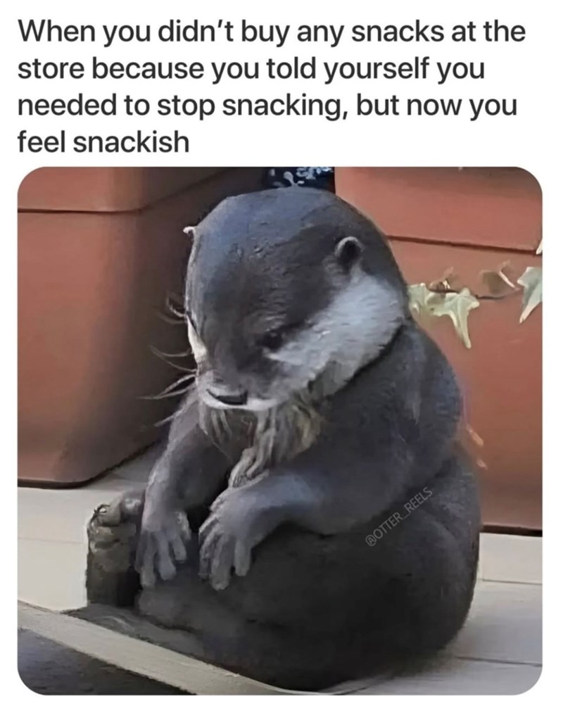 When you didn't buy any snacks at the store because you told yourself you needed to stop snacking, but now you feel snackish @OTTER REELS