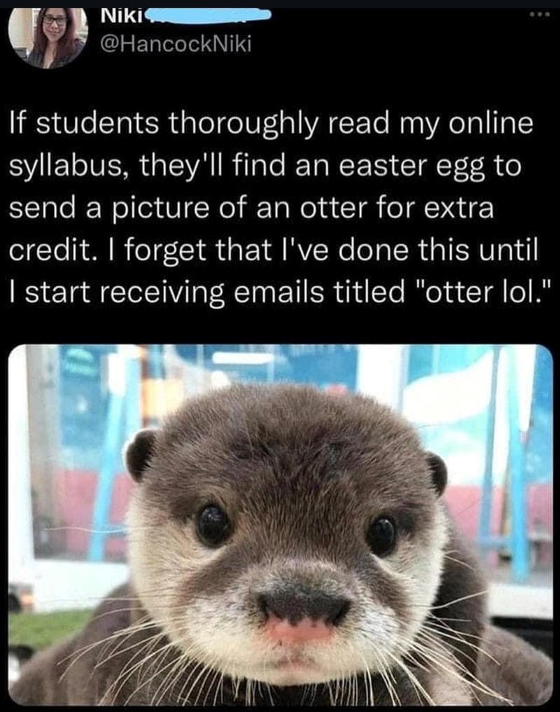 Niki @HancockNiki If students thoroughly read my online. syllabus, they'll find an easter egg to send a picture of an otter for extra credit. I forget that I've done this until I start receiving emails titled "otter lol."