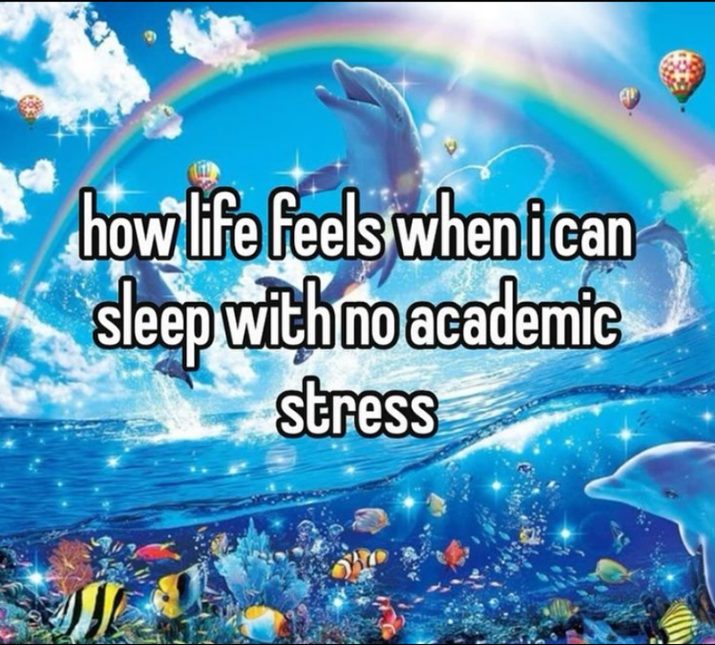 A how life feels when i can sleep with no academic stress