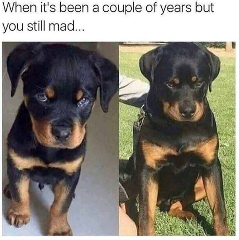 When it's been a couple of years but you still mad...