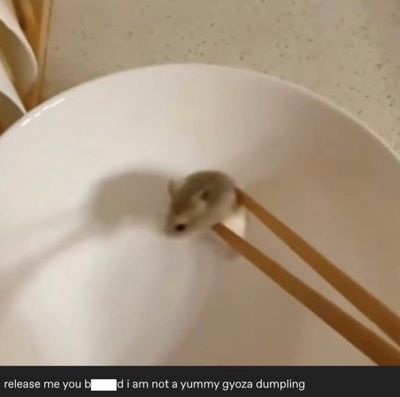 release me you b d i am not a yummy gyoza dumpling