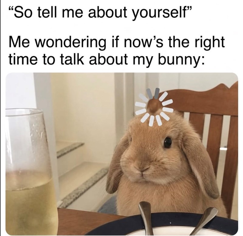 "So tell me about yourself" Me wondering if now's the right time to talk about my bunny: