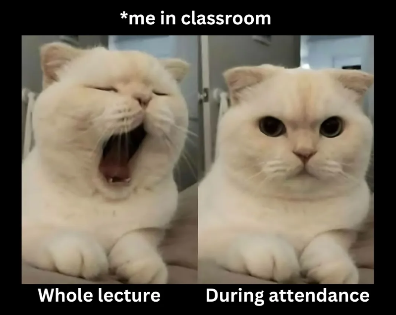 *me in classroom Whole lecture During attendance
