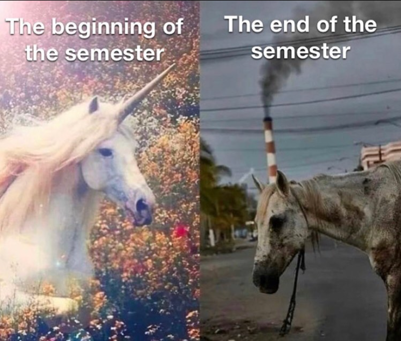 The beginning of the semester The end of the semester