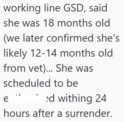 working line GSD, said she was 18 months old (we later confirmed she's likely 12-14 months old from vet)... She was scheduled to be e ed withing 24 hours after a surrender.