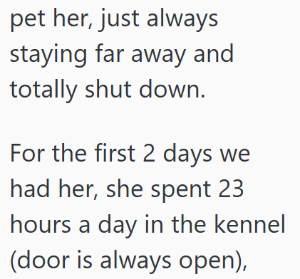pet her, just always staying far away and totally shut down. For the first 2 days we had her, she spent 23 hours a day in the kennel (door is always open),