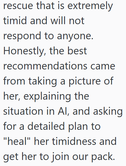 rescue that is extremely timid and will not respond to anyone. Honestly, the best recommendations came from taking a picture of her, explaining the situation in Al, and asking for a detailed plan to "heal" her timidness and get her to join our pack.