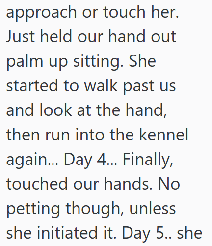 approach or touch her. Just held our hand out palm up sitting. She started to walk past us and look at the hand, then run into the kennel again... Day 4... Finally, touched our hands. No petting though, unless she initiated it. Day 5.. she