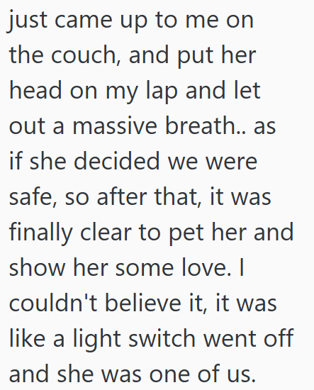 just came up to me on the couch, and put her head on my lap and let out a massive breath.. as if she decided we were safe, so after that, it was finally clear to pet her and show her some love. I couldn't believe it, it was like a light switch went off and she was one of us.