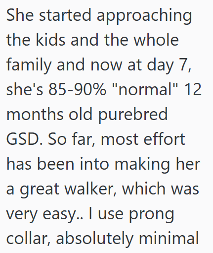 She started approaching the kids and the whole family and now at day 7, she's 85-90% "normal" 12 months old purebred GSD. So far, most effort has been into making her a great walker, which was very easy.. I use prong collar, absolutely minimal