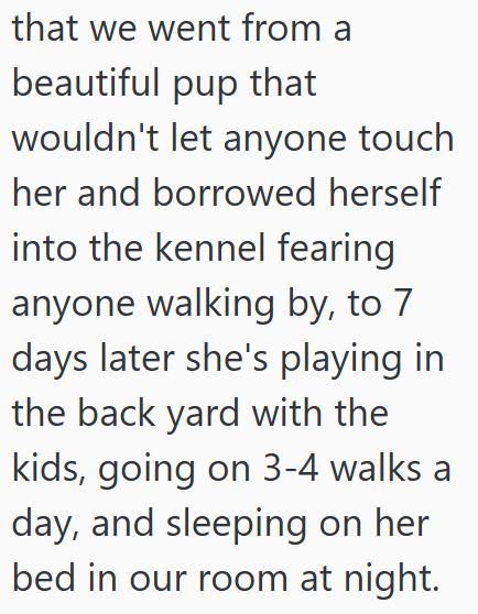 that we went from a beautiful pup that wouldn't let anyone touch her and borrowed herself into the kennel fearing anyone walking by, to 7 days later she's playing in the back yard with the kids, going on 3-4 walks a day, and sleeping on her bed in our room at night.