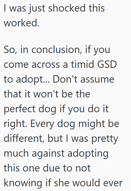 I was just shocked this worked. So, in conclusion, if you come across a timid GSD to adopt... Don't assume that it won't be the perfect dog if you do it right. Every dog might be different, but I was pretty much against adopting this one due to not knowing if she would ever