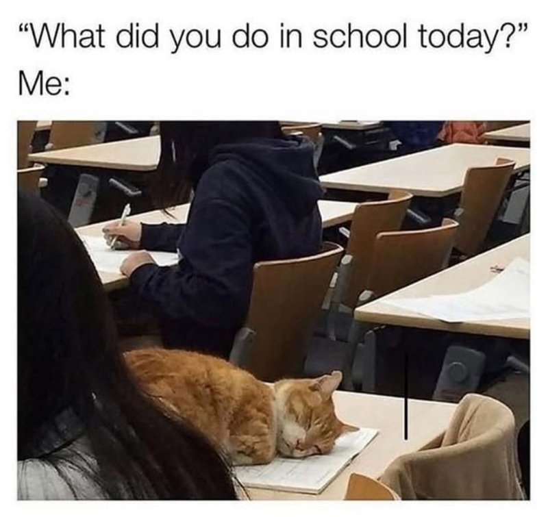 "What did you do in school today?" Me: