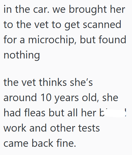 in the car. we brought her to the vet to get scanned for a microchip, but found nothing the vet thinks she's around 10 years old, she had fleas but all her b work and other tests came back fine.