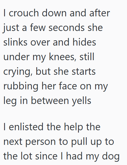 I crouch down and after just a few seconds she slinks over and hides under my knees, still crying, but she starts rubbing her face on my leg in between yells I enlisted the help the next person to pull up to the lot since I had my dog