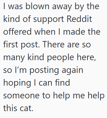 I was blown away by the kind of support Reddit offered when I made the first post. There are so many kind people here, so I'm posting again hoping I can find someone to help me help this cat.