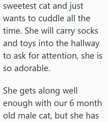sweetest cat and just wants to cuddle all the time. She will carry socks and toys into the hallway to ask for attention, she is so adorable. She gets along well enough with our 6 month old male cat, but she has