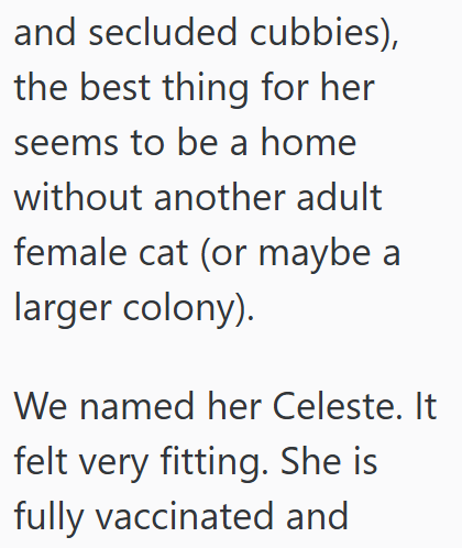 and secluded cubbies), the best thing for her seems to be a home without another adult female cat (or maybe a larger colony). We named her Celeste. It felt very fitting. She is fully vaccinated and