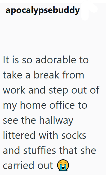 apocalypsebuddy It is so adorable to take a break from work and step out of my home office to see the hallway littered with socks and stuffies that she carried out