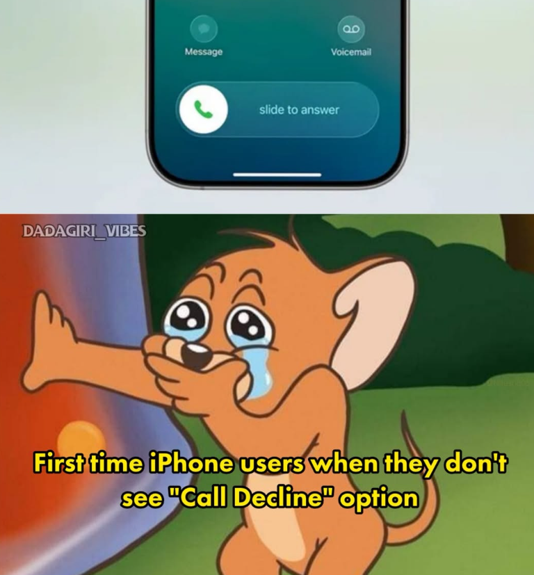 DADAGIRI_VIBES Message a Voicemail slide to answer First time iPhone users when they don't see "Call Decline" option