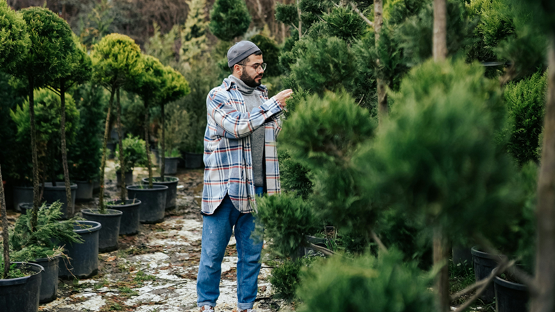Man standing in a garden surrounded by trees.