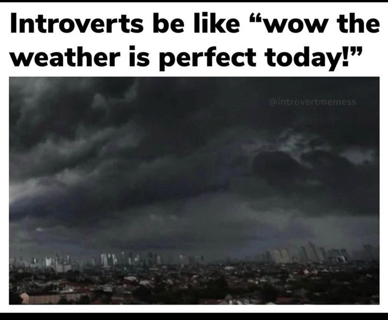 Introverts be like "wow the weather is perfect today!" @introvertmemess