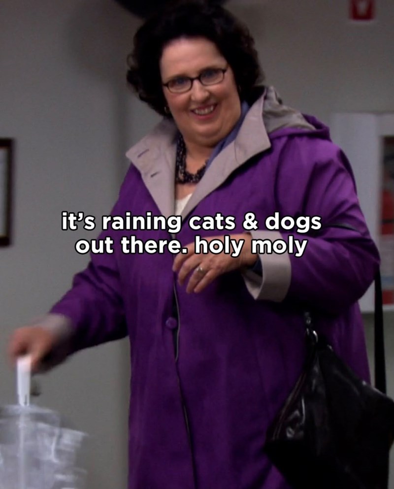 it's raining cats & dogs out there. holy moly
