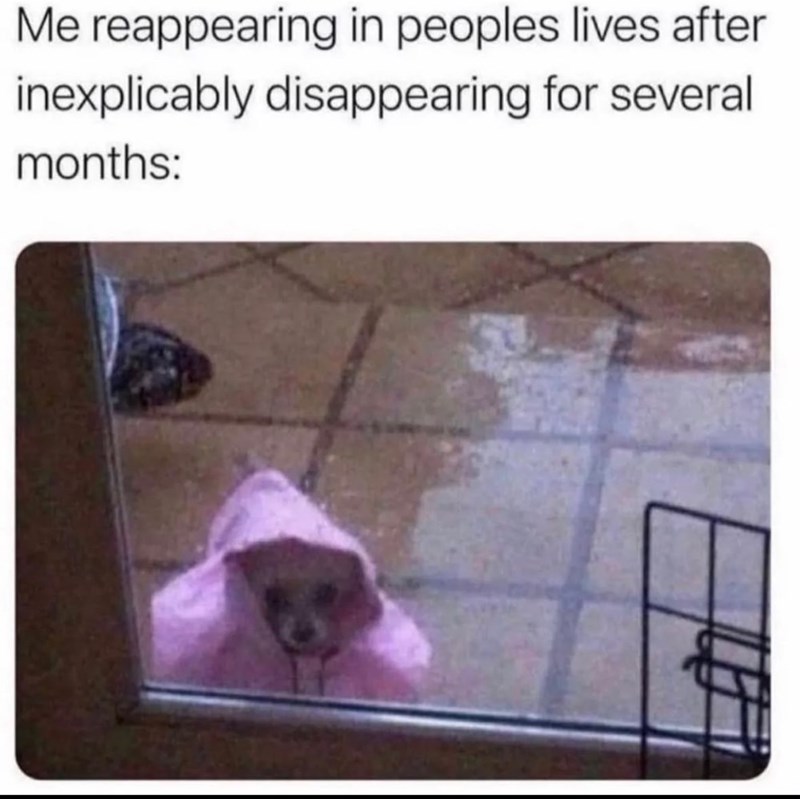 Me reappearing in peoples lives after inexplicably disappearing for several months: