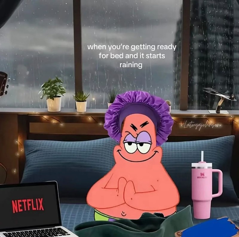 NETFLIX when you're getting ready for bed and it starts raining *Latoyajohnson 解 STANLEY