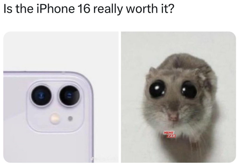 Is the iPhone 16 really worth it? MEME ZAR