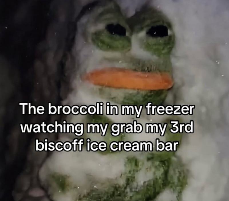 The broccoli in my freezer watching my grab my 3rd biscoff ice cream bar