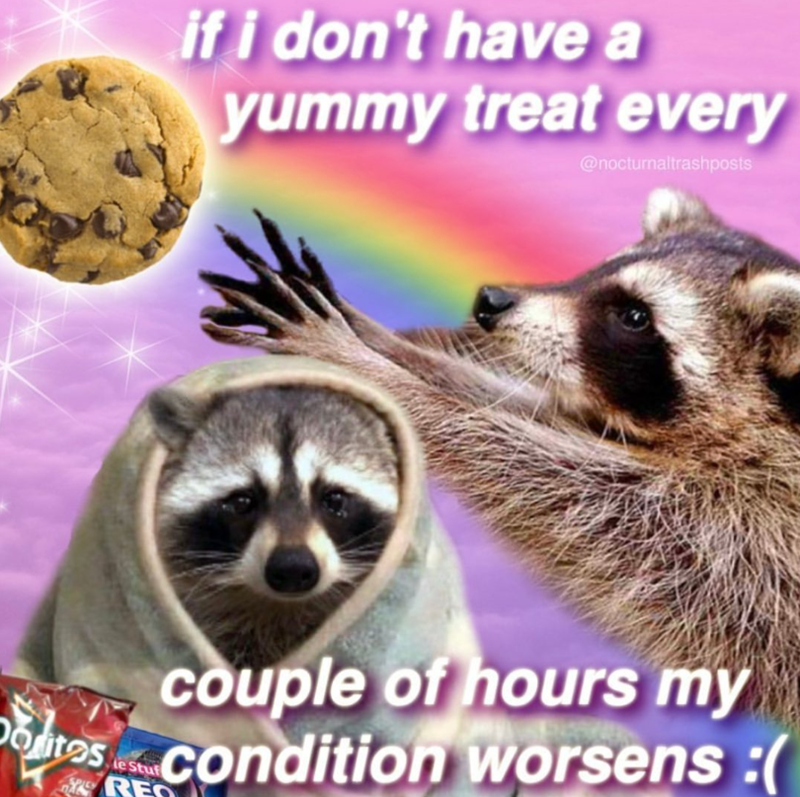 if i don't have a yummy treat every @nocturnaltrashposts couple of hours my es condition worsens :( Le REQ