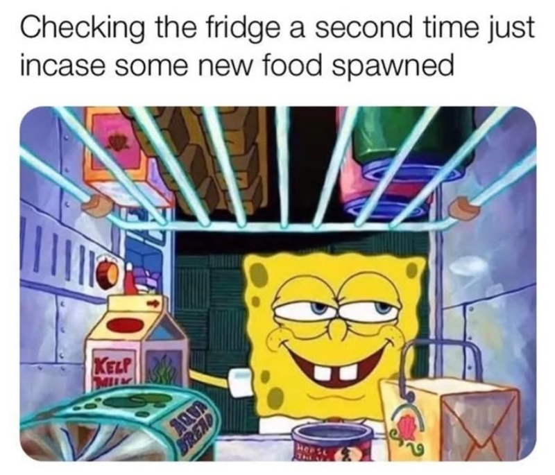 Checking the fridge a second time just incase some new food spawned KELP MI AQUA BREAD House THEY