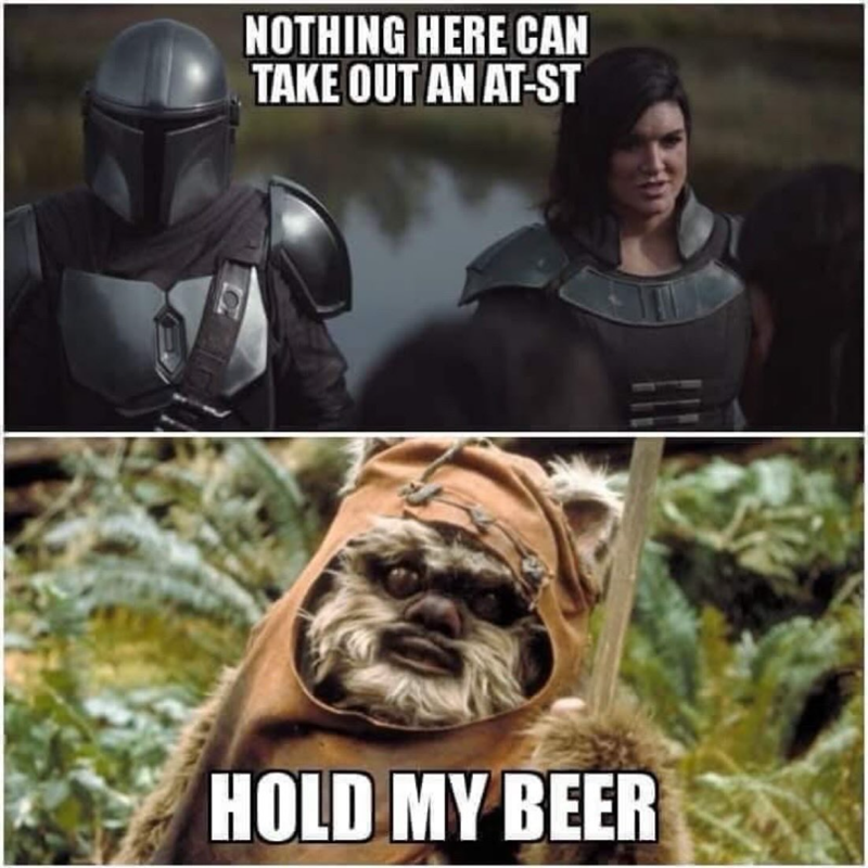 NOTHING HERE CAN TAKE OUT AN AT-ST HOLD MY BEER