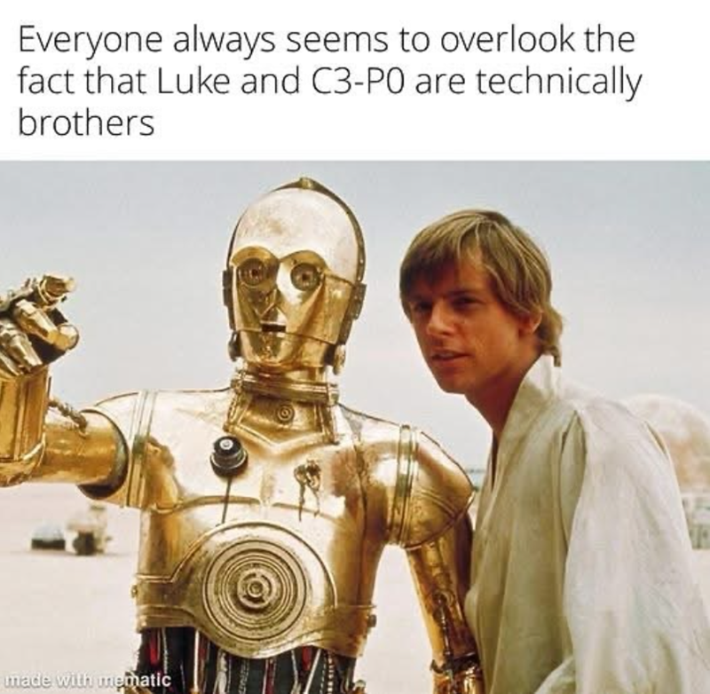 Everyone always seems to overlook the fact that Luke and C3-PO are technically brothers made with mematic