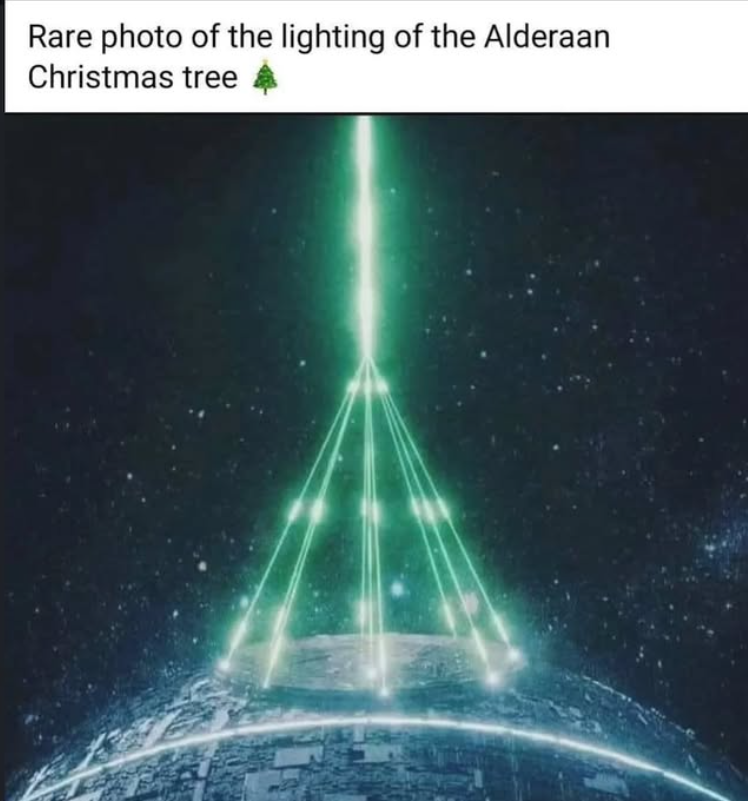 Rare photo of the lighting of the Alderaan Christmas tree